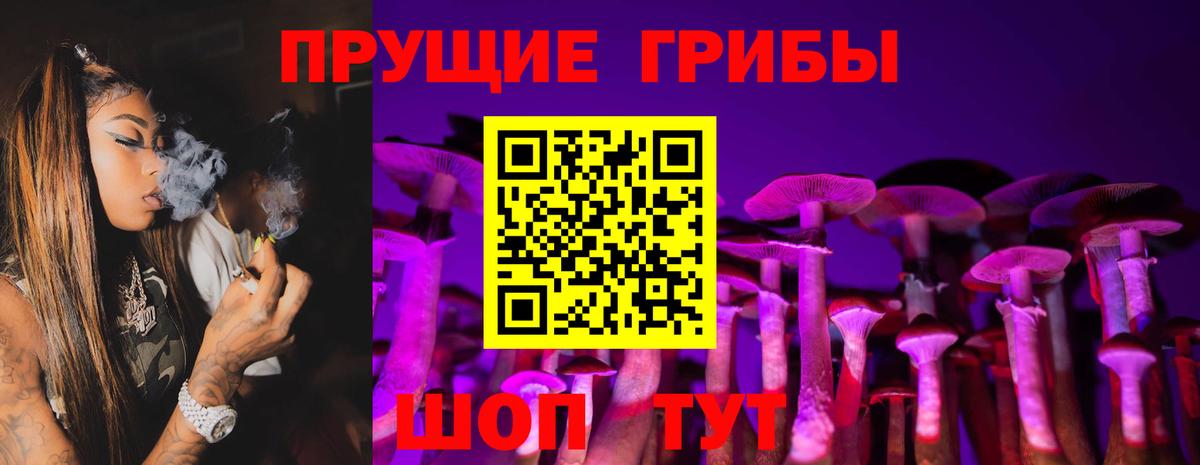 Галлюциногенные грибы ЛСД Алексеевка
