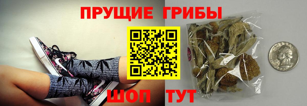 Псилоцибиновые грибы Magic Shrooms  Вход с VPN  Псилоцибиновые грибы прущие грибы  Алексеевка 